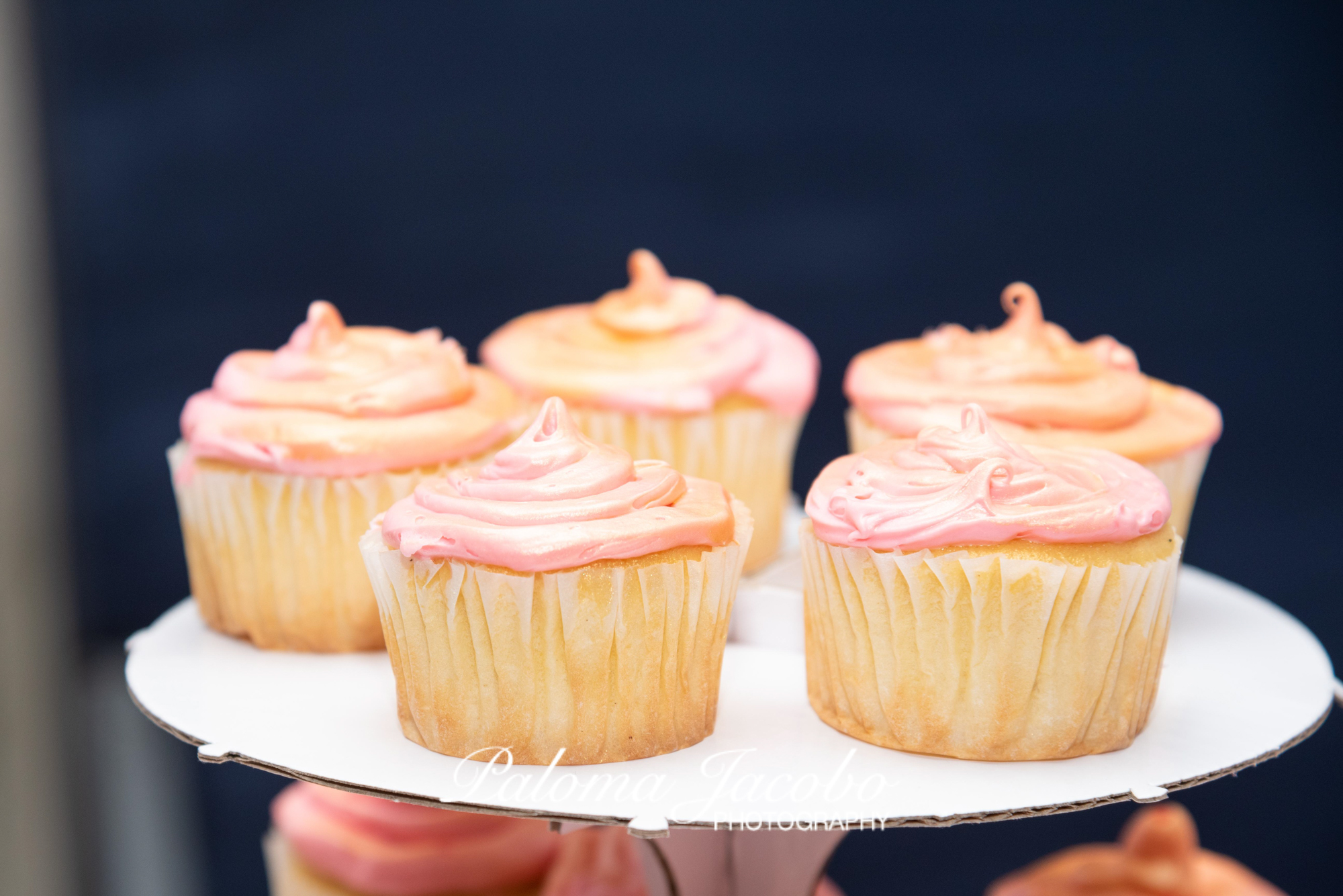 cupcakes in blush pink and gold at Boulevard Hall by Paloma Jacobo Photography