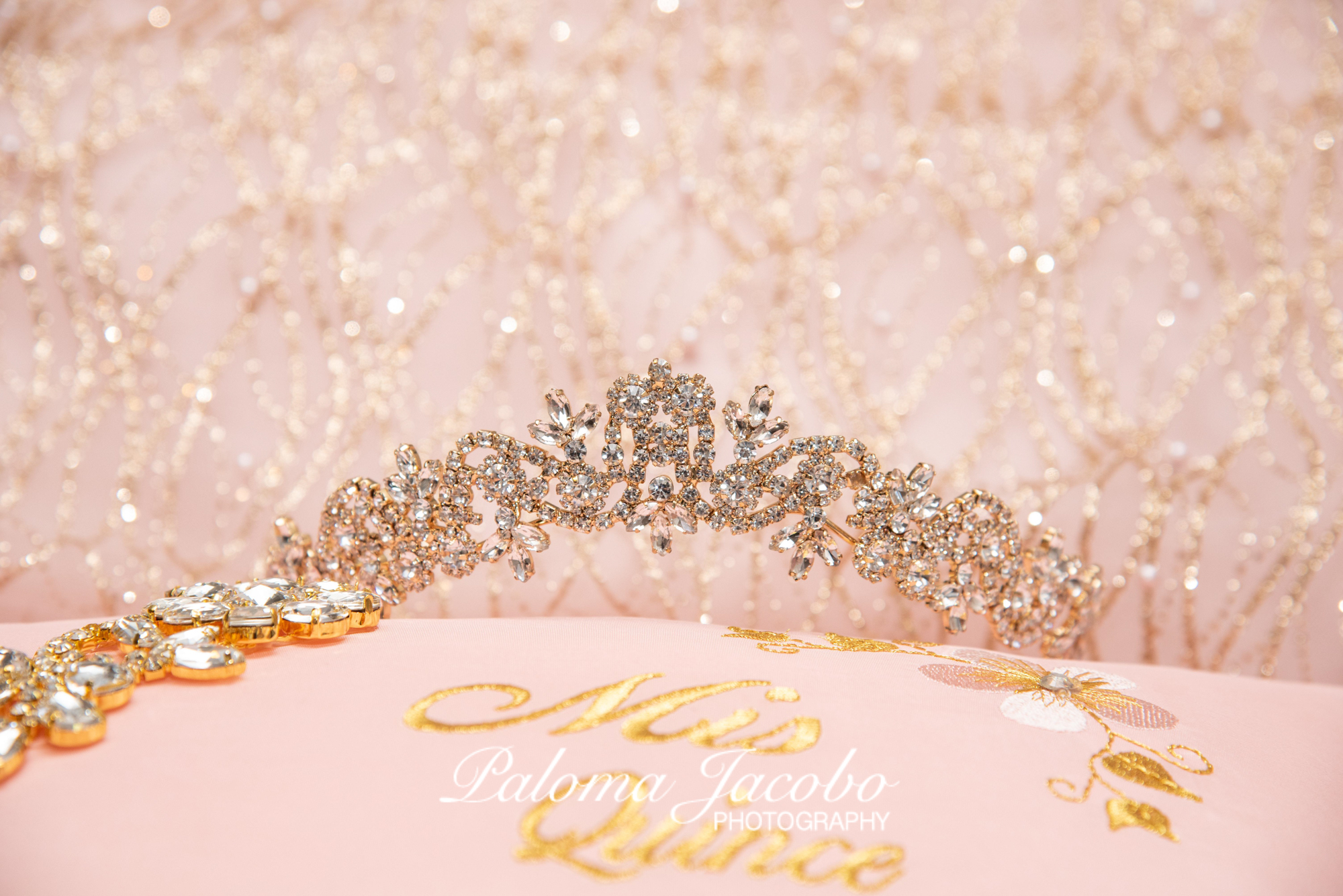 what-to-expect-at-a-quinceanera-party-quinceanera